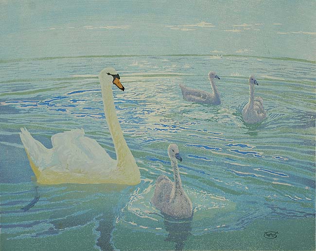 Swan and Cygnets - WILLIAM GILES - woodcut printed in colors