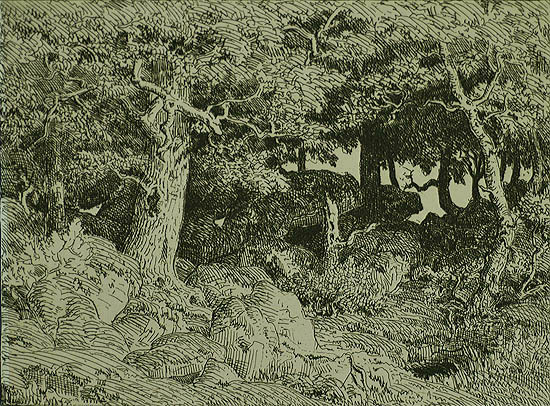 Oak Tree Growing Among the Rocks (Le Chene de Roche) - THEODORE ROUSSEAU - etching