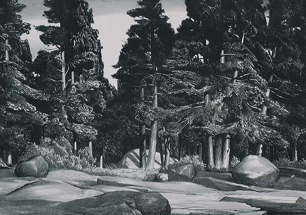 Deep Forest - STOW WENGENROTH - lithograph