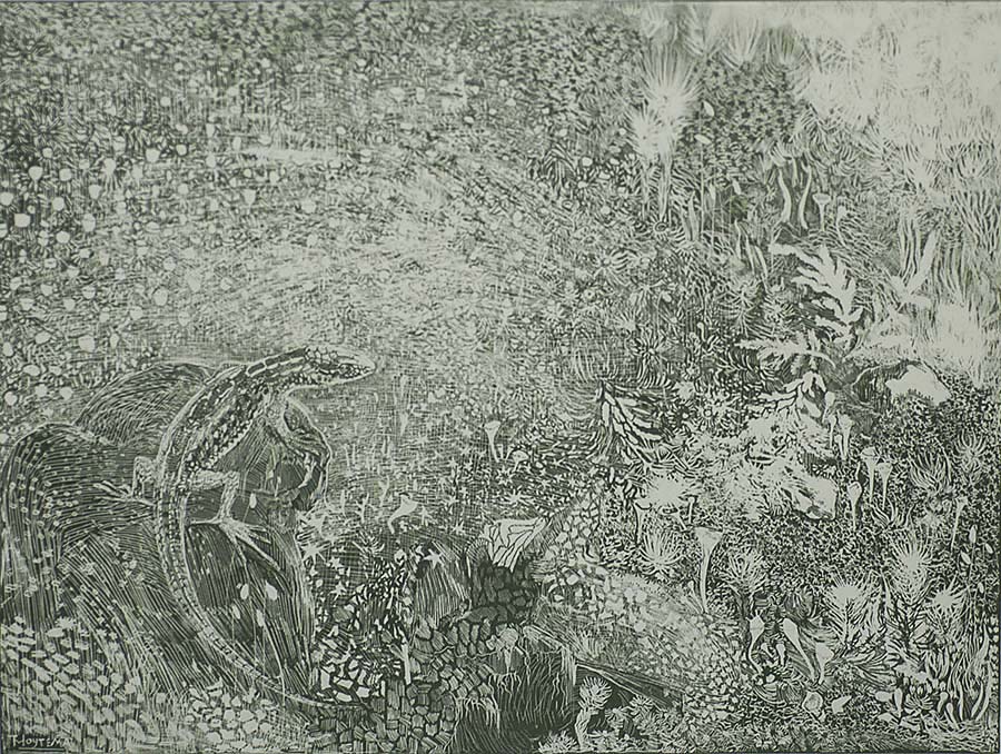 Lizard on a Rock in the Middle of Moss Plants (Hagedis op een Steen Temidden van Mosplantjes) - THEO VAN HOYTEMA - lithograph