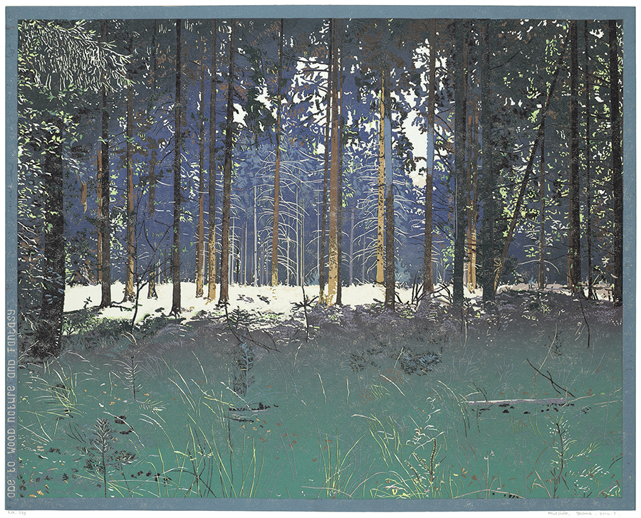 Landscape 2014-I - GRIETJE POSTMA - woodcut printed in colors