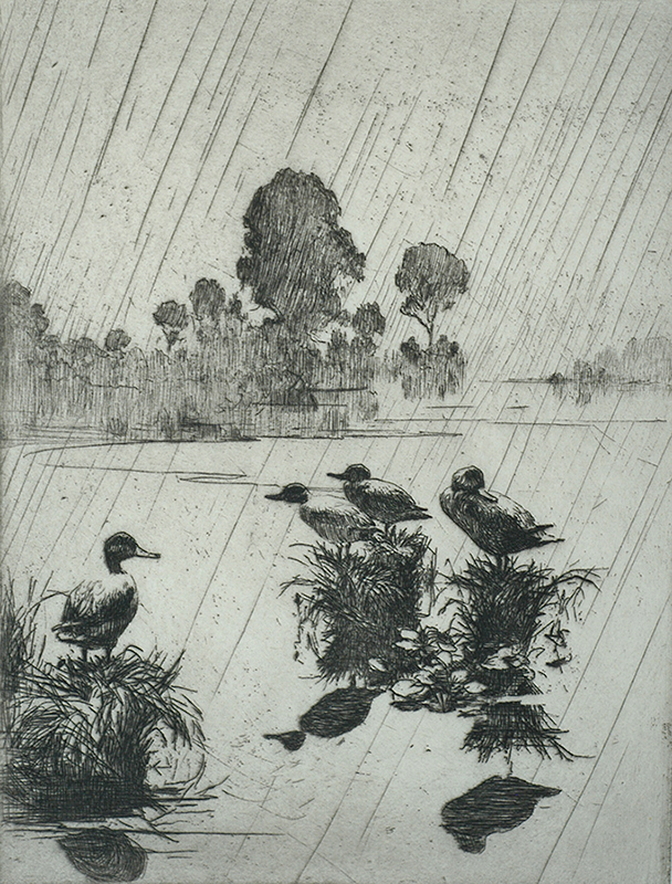Ducks in the Rain - FRANK BENSON - etching