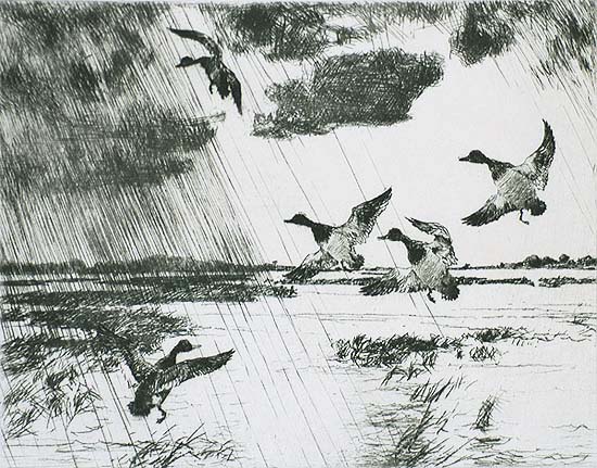 Rain Squall - FRANK BENSON - etching