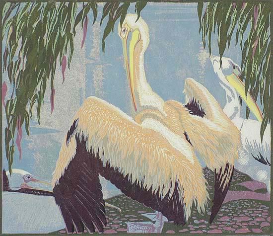 Pelicans - JESSIE ARMS BOTKE - woodcut printed in colors