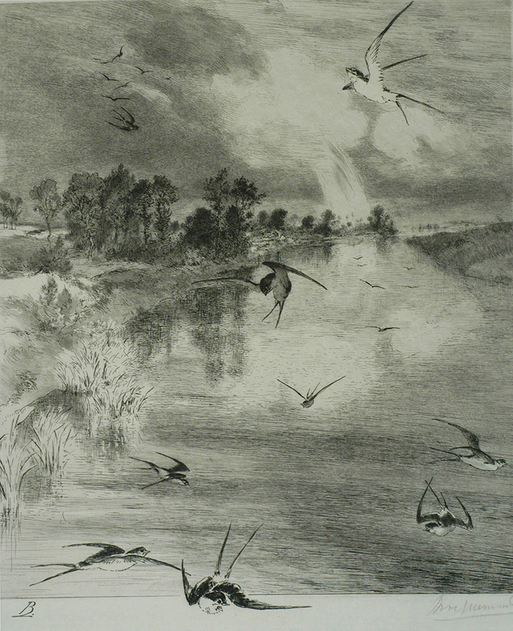 Les Hirondelles (The Swallows) - FELIX BRACQUEMOND - etching