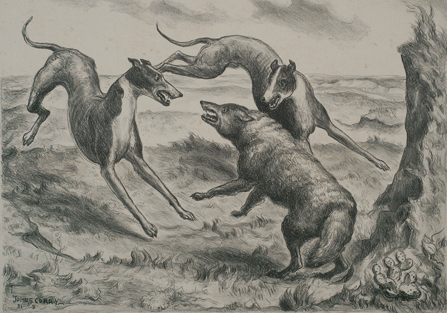 Hounds and Coyote - JOHN STEUART CURRY - lithograph