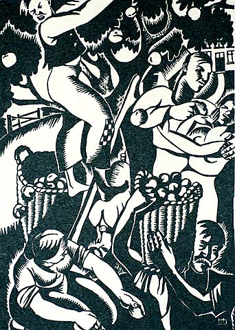 Apples for Cider - NELLY DEGOUY - woodcut