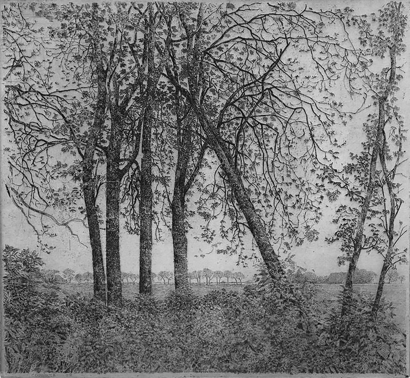 Uitzicht Vanuit de Tuin in Godlinze (View from the Garden in Godlinze) - CHARLES DONKER - etching