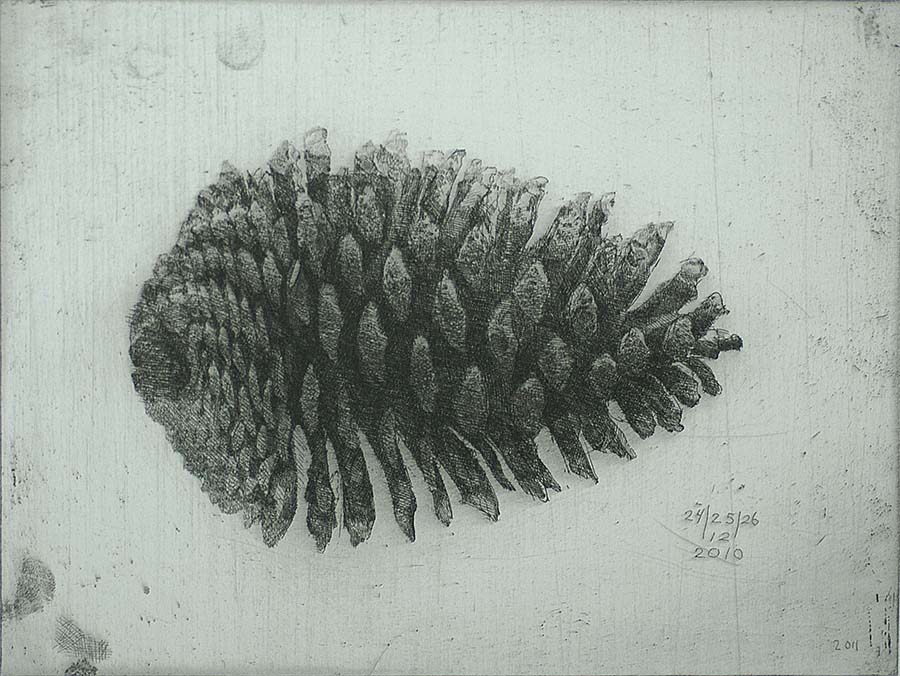 Large Pinecone III (Grote Dennenappel III) - CHARLES DONKER - etching