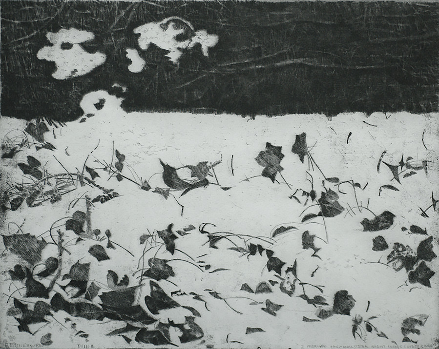 Tuin in de Sneeuw II (Tuin II)  (Garden in the Snow II) - CHARLES DONKER - etching