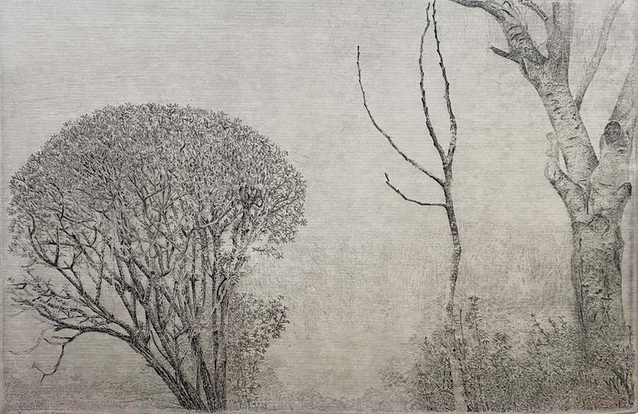 Young Walnut Tree between Elderberry and Beech Tree (Jonge Notenboom tussen Vlierstruik en Beukenboom) - CHARLES DONKER - etching