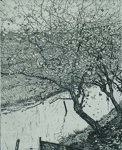 Appelboomen aan den Slootkant (Appletrees Along the Side of a Ditch) - PIETER DUPONT - etching