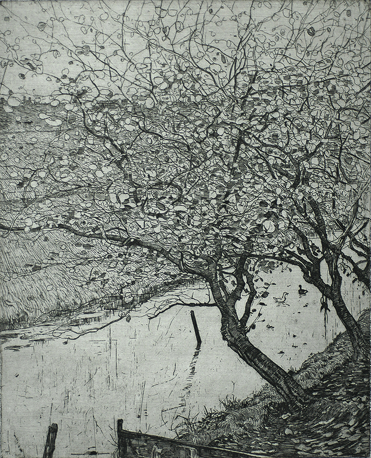 Appelboomen aan den Slootkant (Apple trees along the side of a Ditch) - PIETER DUPONT - etching
