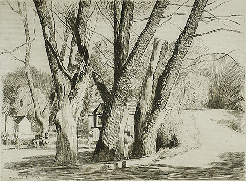 Spring Valley Willows - DANIEL GARBER - etching