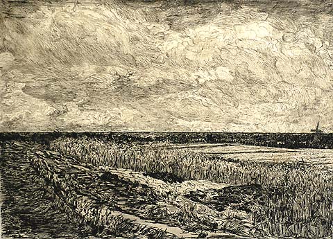 Landscape in Overijssel - GERHARD C. HAVERKAMP - etching