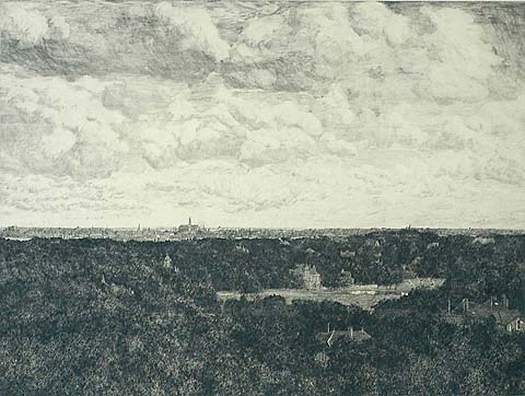 View of Haarlem - GERHARD C. HAVERKAMP - etching