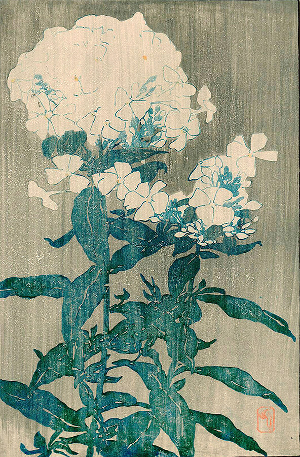 Phlox (also known as White Hydrangea) - EDNA BOIES HOPKINS - woodcut printed in colors