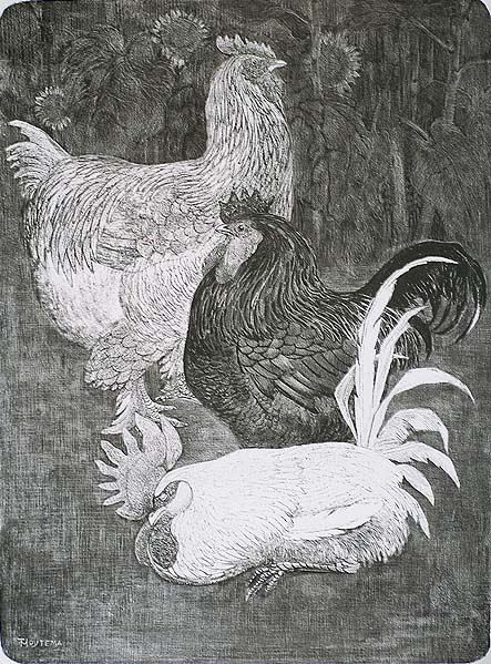 Three Hens (Drie Hanen) - THEO VAN HOYTEMA - lithograph