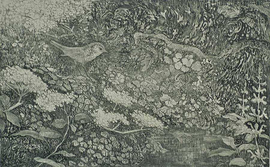 Robin by the Water (Roodborstje aan het Water) - THEO VAN HOYTEMA - lithograph