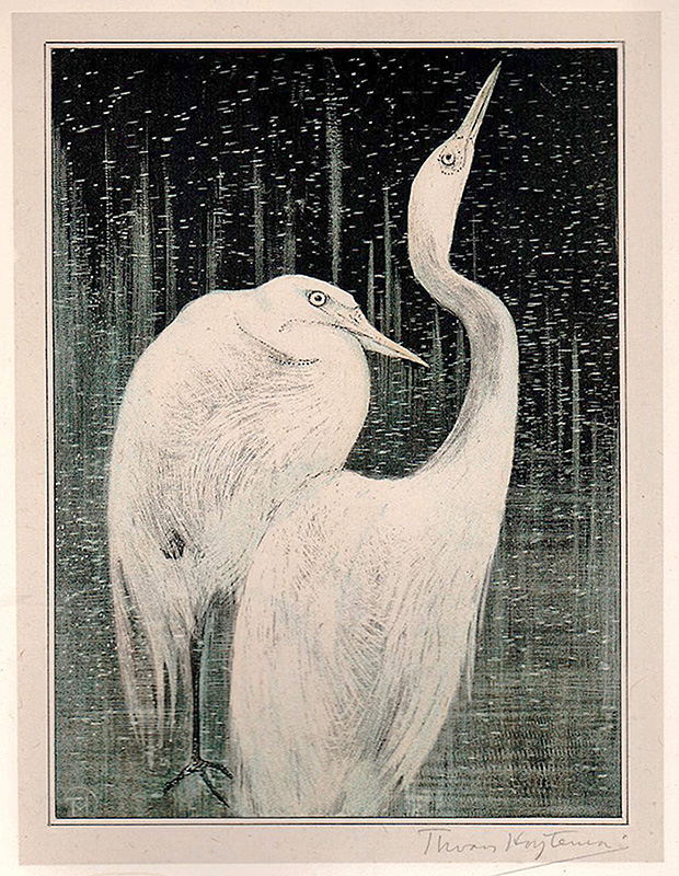 Two Egrets - THEO VAN HOYTEMA - lithograph printed in colors