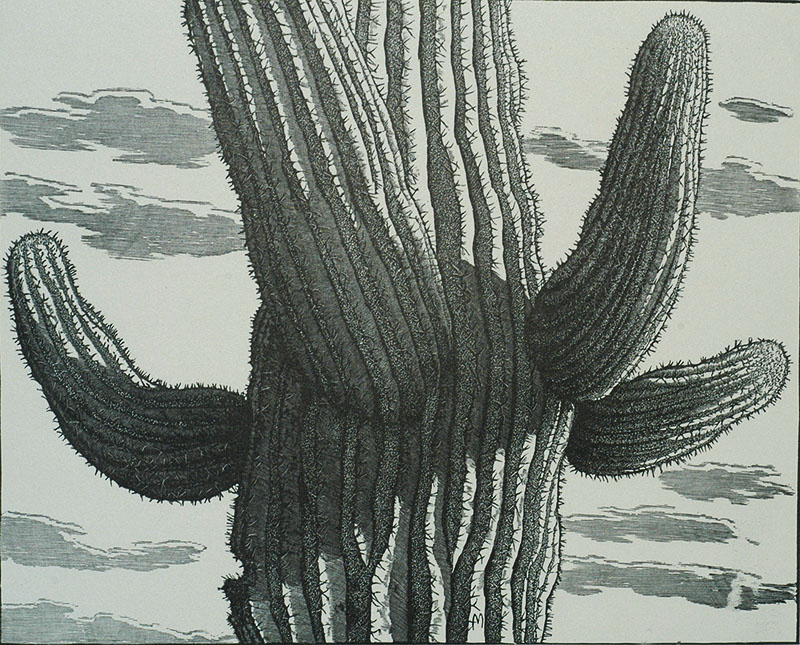 Sahuaro, Arizona - LEO MEISSNER - wood engraving
