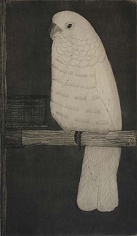Cockatoo (Kaketoe) - SAMUEL JESSURUN DE MESQUITA - etching