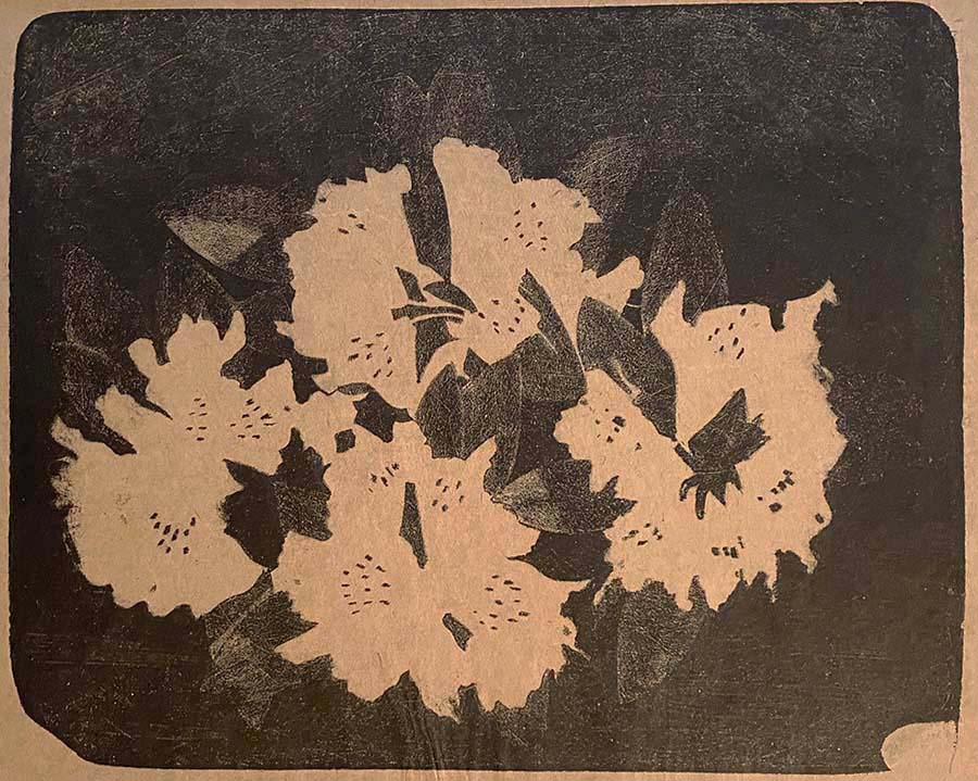 Rhododendron - SAMUEL JESSURUN DE MESQUITA - lithograph
