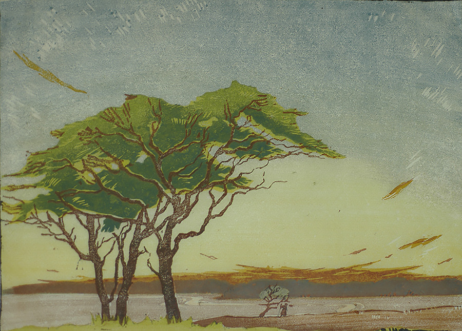 Evening Light - D.N. MORGAN - linocut printed in colors