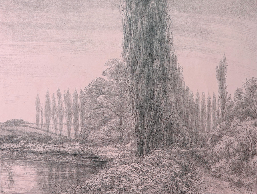 Poplars - SIMON MOULIJN - lithograph