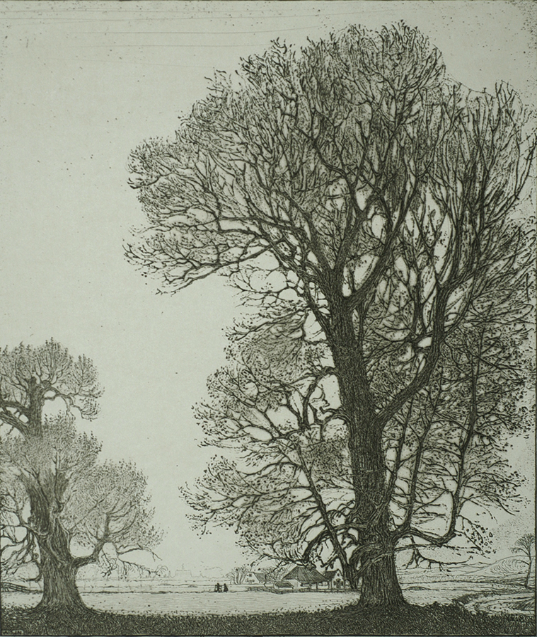 Poplars (Zilverpopulieren), Santpoort - WOJ NIEUWENKAMP - etching