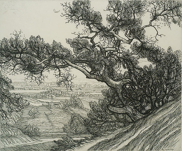 Landscape with Live Oak - ROI PARTRIDGE - etching