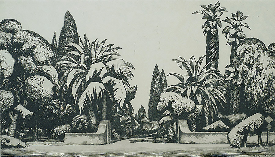 Pasadena Palms - RALPH PEARSON - etching