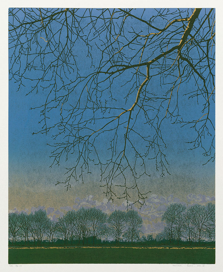 Landscape 2002-IV - GRIETJE POSTMA - woodcut printed in colors