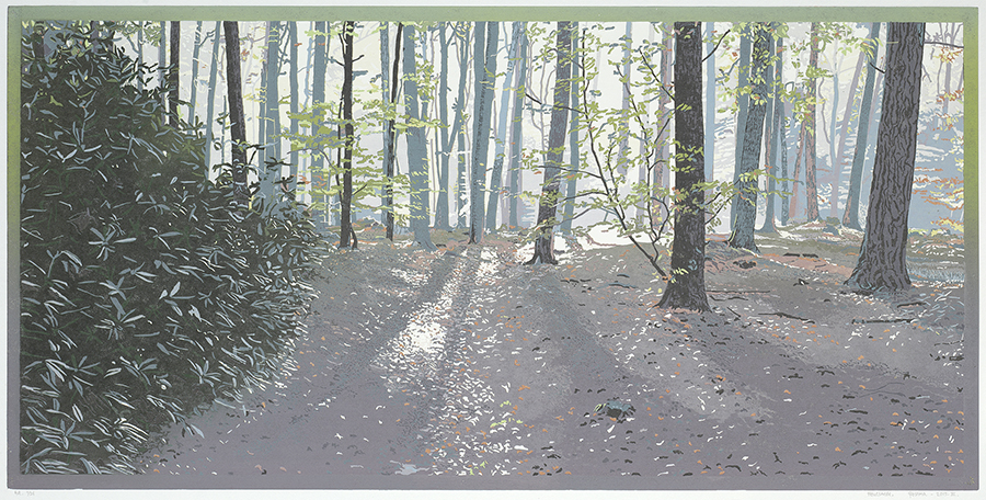 Landscape 2015-III - GRIETJE POSTMA - woodcut printed in colors