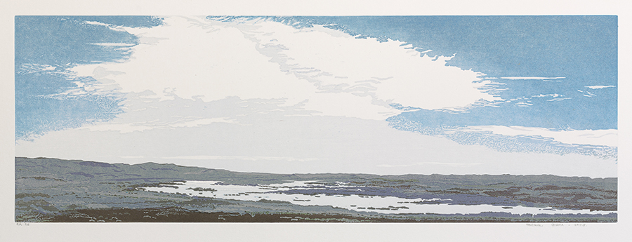 Landscape 2015-V - GRIETJE POSTMA - woodcut printed in colors