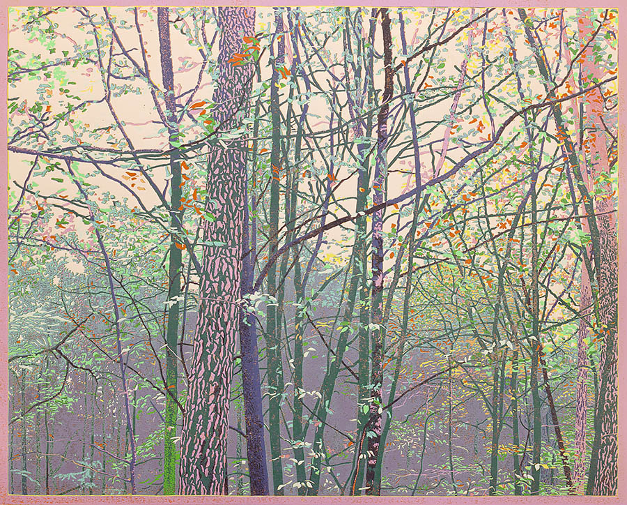 Landscape 2023-III - GRIETJE POSTMA - woodcut printed in colors
