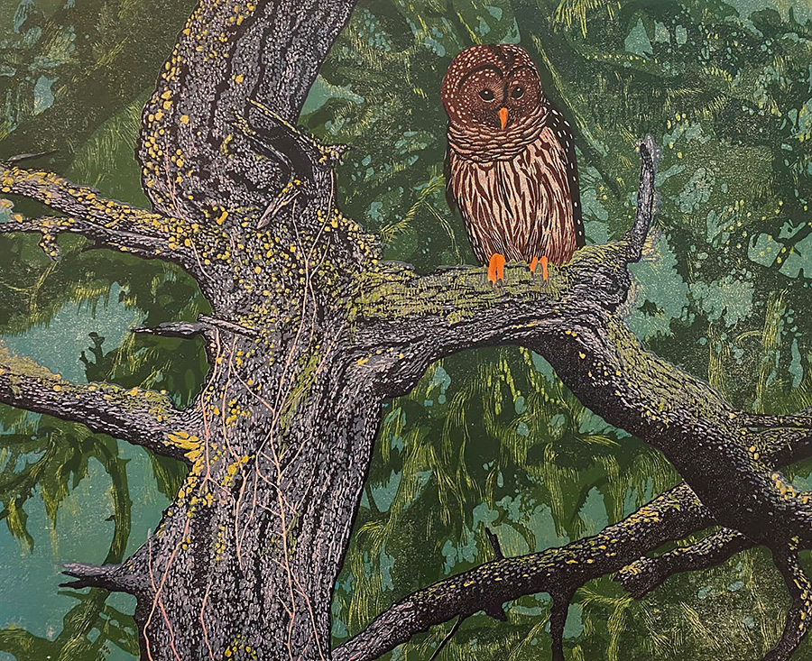 Barred Owl - ANDREA RICH - woodcut printed in colors