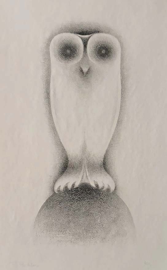 Owl Sitting on a Rock - BERNARD  RICHTERS - lithograph
