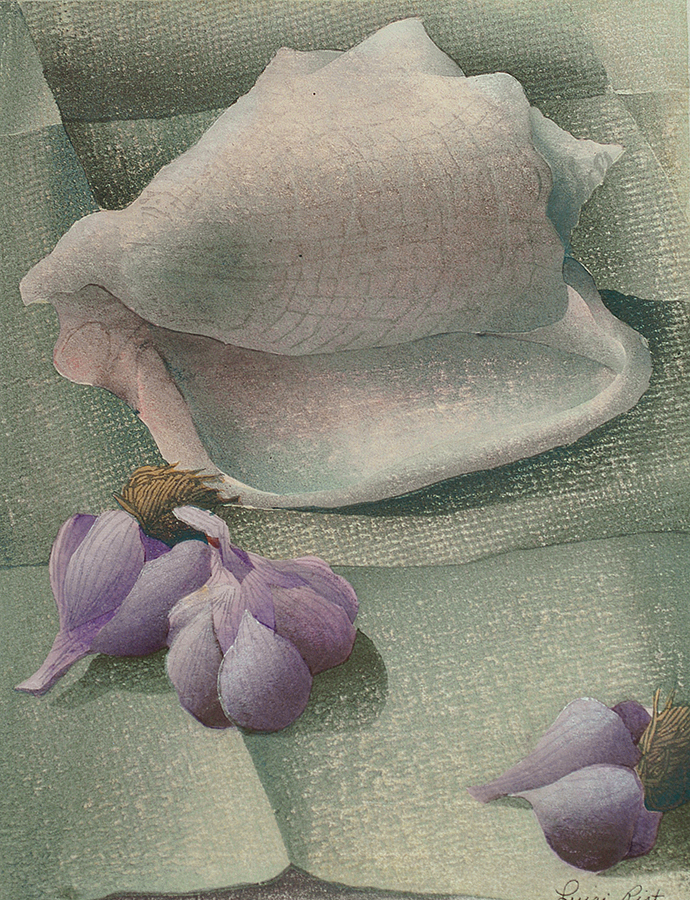 Sea Shell and Garlic - LUIGI RIST - woodcut printed in colors