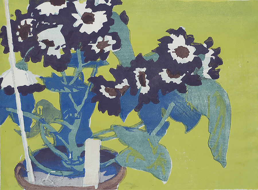Cineraria - MABEL ROYDS - woodcut printed in colors
