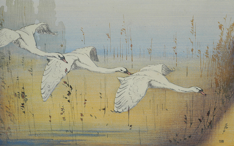 Three Swans - ALLEN W. SEABY - woodcut printed in color