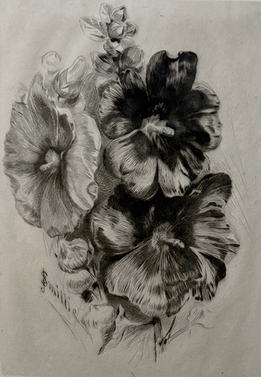 Hibiscus Flowers - JAMES D. SMILLIE - drypoint