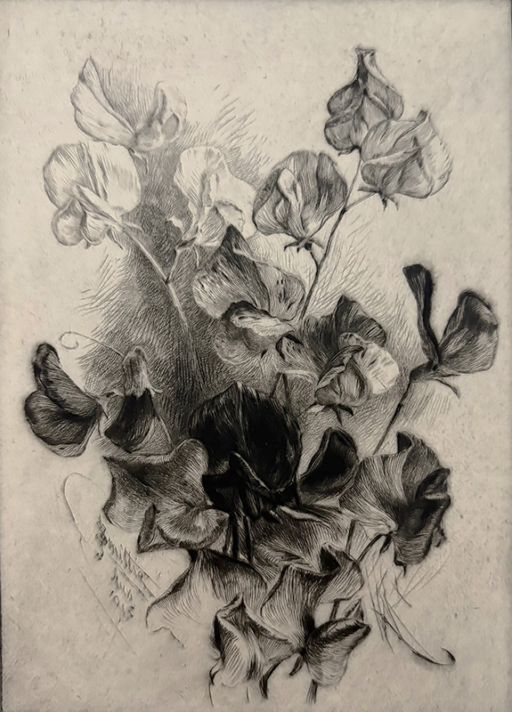 Sweet Peas - JAMES D. SMILLIE - drypoint