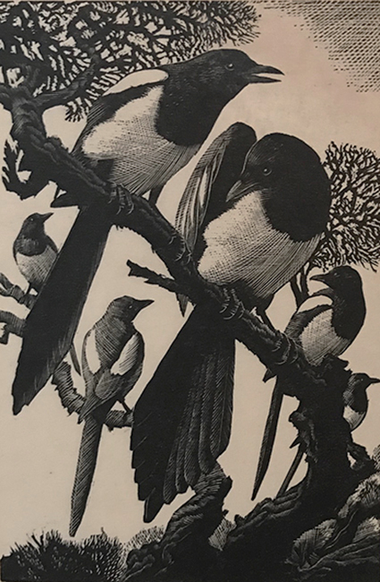 Pica and his Family - CHARLES TUNNICLIFFE - wood engraving