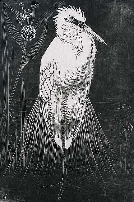 Silver Heron (Zilverreiger) - HENRI VERSTIJNEN - woodcut