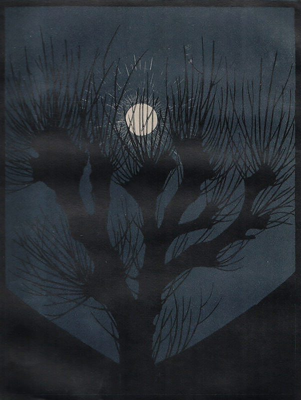 Moonlit Night (Mannacht) -  ANNA JULIE DE GRAAG - woodcut printed in colors