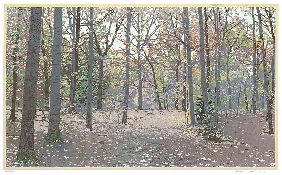 Landscape 2012-VI - GRIETJE POSTMA - woodcut printed in colors