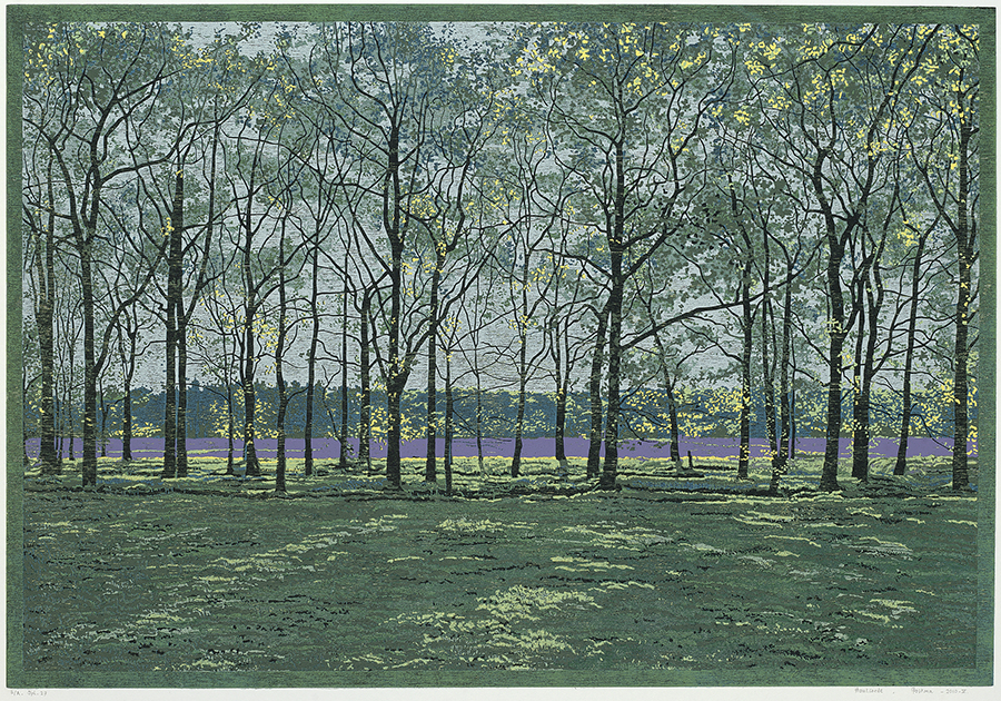 Landscape 2010-V - GRIETJE POSTMA - woodcut printed in colors