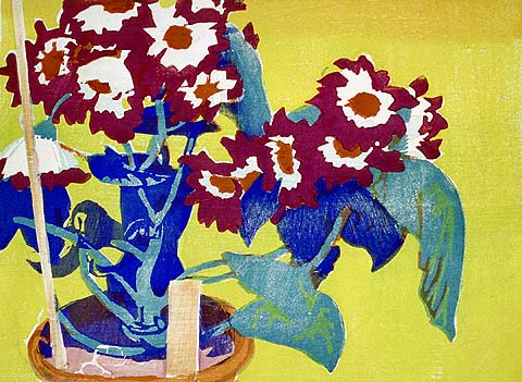 Cineraria - MABEL ROYDS - woodcut printed in colors