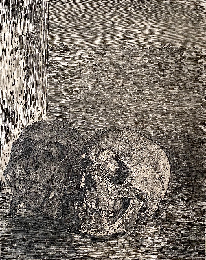 Skulls and Old Books (Schedels met oude Boeken) - ANTON F. PIECK - etching